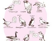 Birds - Vogels met een C - art brush sketch - digitally coloured - Art Print