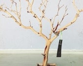 30" All Natural Tree Jewelry holder