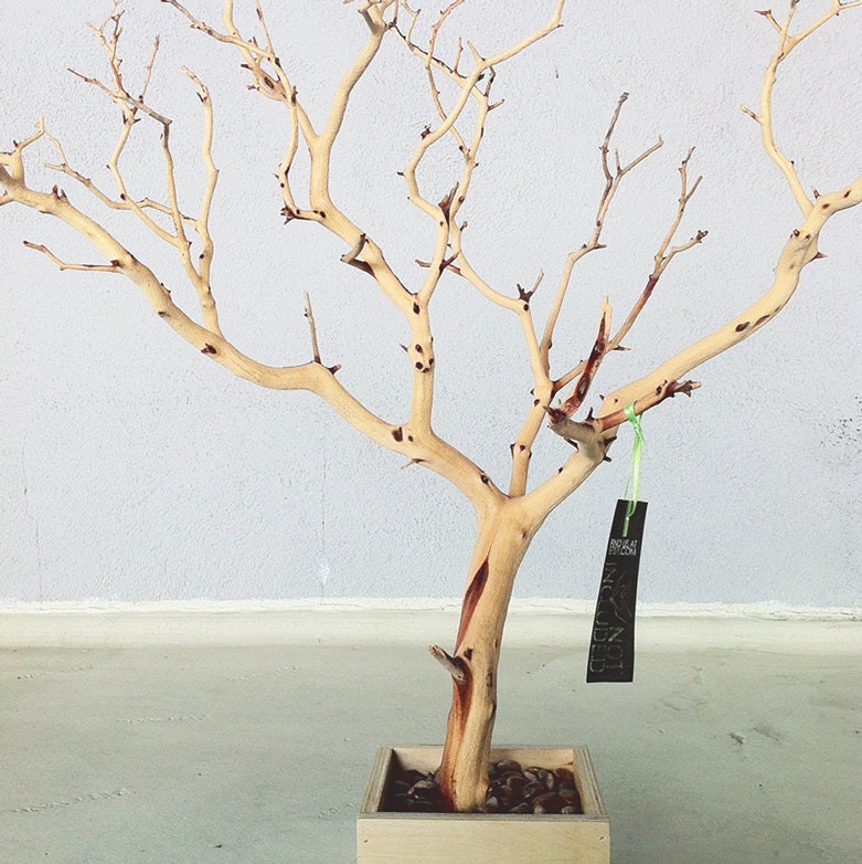 30" All Natural Tree Jewelry holder