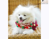 Hand Crocheted Dog Clothes Small Puppy Sweater Pets Dress Chihuahua Coat D839 - Free shipping