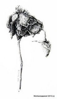 Art - Limited Edition Glicee Print from Original Drawing - Dried Flower and Bud - Botanical - Winter - Home Decor