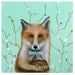 Red Fox in Art - Acrylic Painting Print - Animal Art, Red Fox, Woodland Creature - School Dorm Room - Women Kids Teens gift under 20