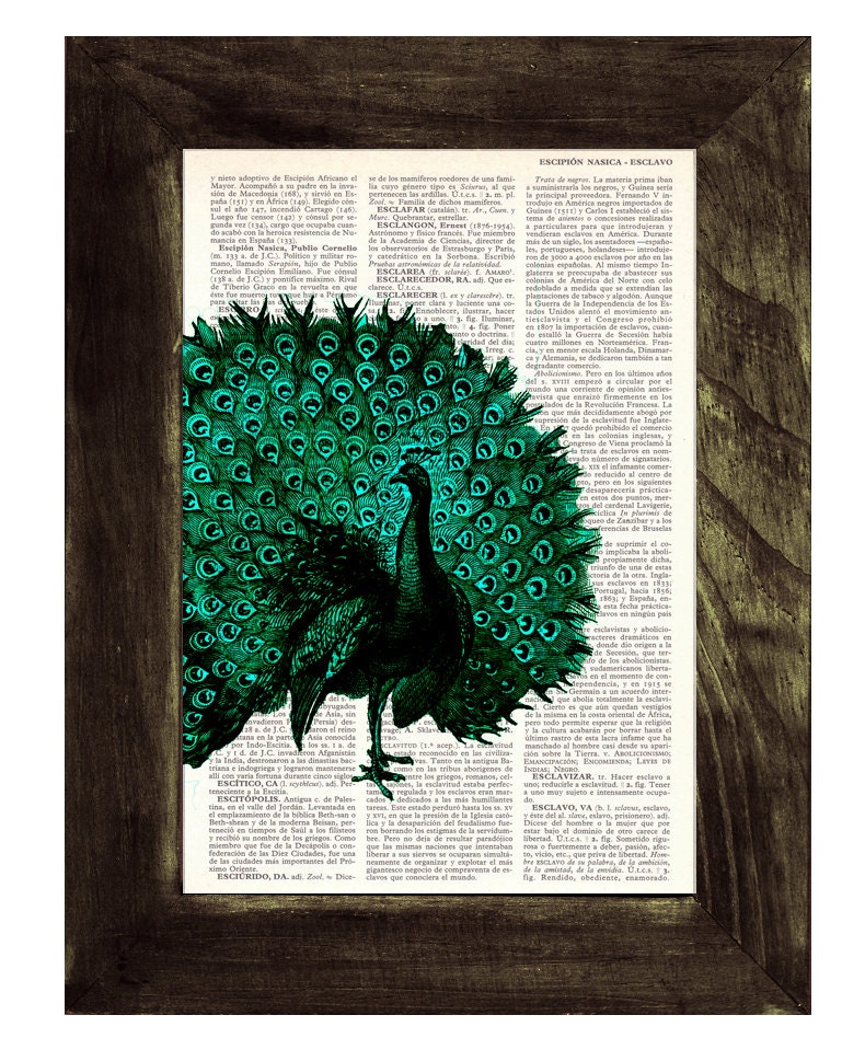 Peacock with open tail Print on Vintage Dictionary Book altered art dictionary page illustration book print peacock art