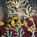 The Sea Life, Slice Of Life Wall Hanging