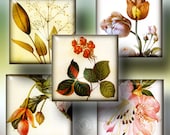Vintage Flowers - Digital Collage Sheet CG-655S - 1.5x1.5 tiles for Scrapbooking, Jewelry Making, Crafts - Instant Download