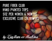 PURE Fiber Club 4 Months 5oz hand painted top merino coburger romney falkland