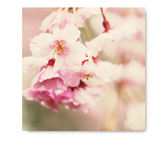 Spring Pink Flower Photo, bright pink cherry blossoms, pink home decor, fine art photography, cherry blossoms, bright colorful