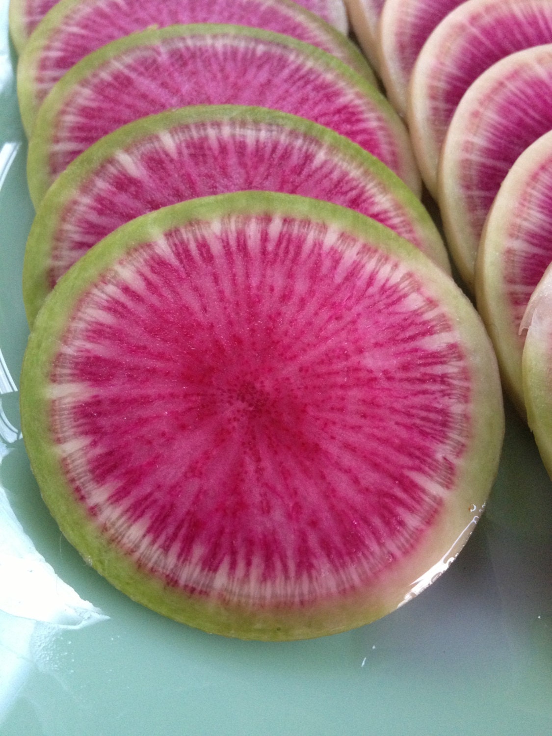 Organic Heirloom Watermelon Radish Seeds Rare