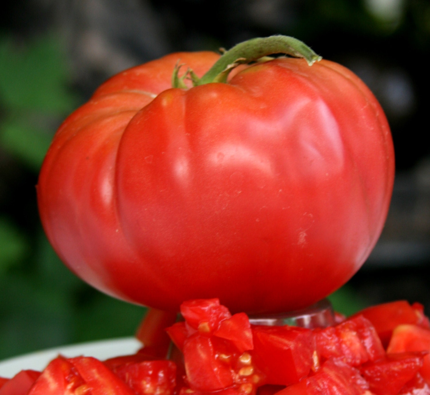 Red Brandywine Organic Heirloom Tomato Seeds Rare