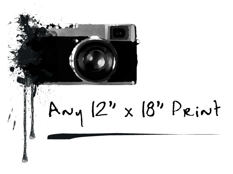 Any 12x18" Fine Art Giclée Print