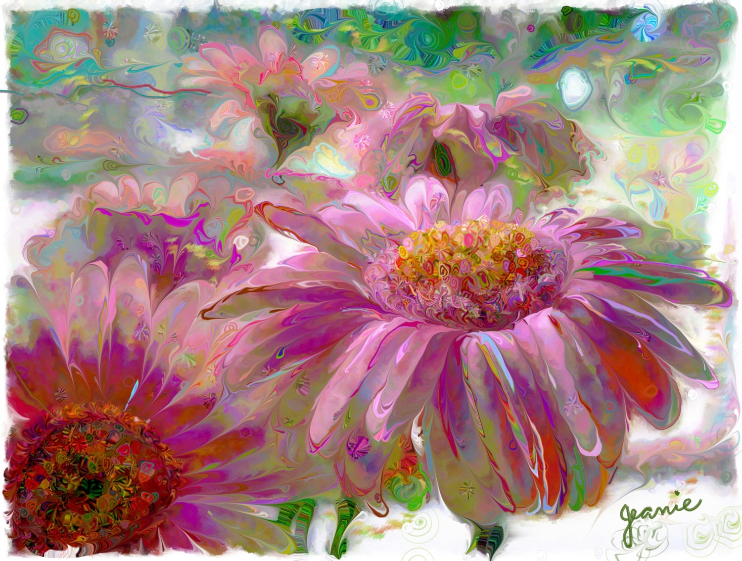 Daisies dance in pink and violet with golden crowns. Summer is coming.