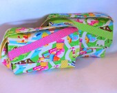 Nintendo DS Carrying Case