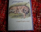 promise you too ( a best friend's song ) dog love old senior dog