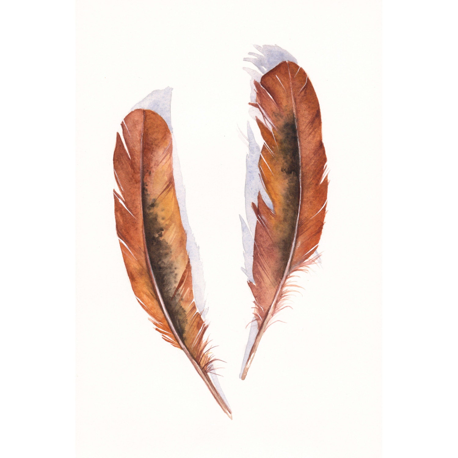 Feathers Brown F090 Feather painting- print of watercolor painting 5 by 7 print