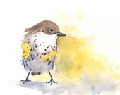 Yellow Rump Warbler Bird Painting- print of watercolor painting - 5 by 7 print