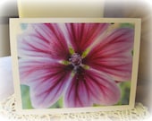 Photo Note Cards, Mix and Match 10, Make your own assortment, Floral, Kitty, Rose, Green
