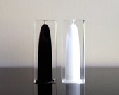 Fratelli Guzzini Lucite Salt and Pepper Shakers
