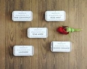 Party Favors Set of 10 Natural Lip Balm Tins - Wedding Favors, Bridesmaid Gift, Your Choice