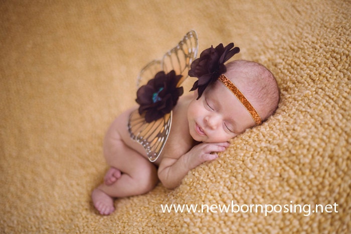 Enchanted Baby Monarch Butterfly Wing Set