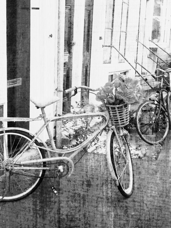 Bicycle, Bicycle - Bicycle with Tulip Flower Basket in Amsterdam, The Netherlands, Holland - Fine Art Photography 8x10" Matte Print