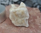 HORSE TOOTH - Art & Jewelry Supplies, Steampunk, Altar Piece, Witchcraft, Voodoo/Hoodoo, Gris Gris