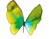 grass green and ochre yellow butterfly with sky blue. original watercolor painting