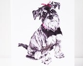 Lola the miniature schnauzer greeting card