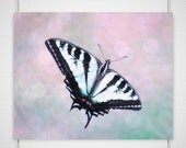 Butterfly Nature Photography - 8x10 photograph print - delicate dreamy purple soft iridescent fly blue pink periwinkle girly 'Let Go'