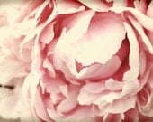 Summer Peony 11x14 Fine Art Print, garden, floral wall decor, 8x10, gorgeous nature print, home decor, macro