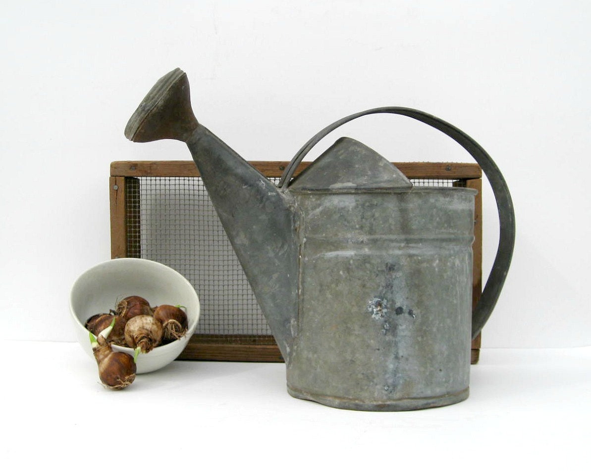 Vintage Watering Can - Galvanized Metal - Rustic Garden Decor - Distressed Barn Find