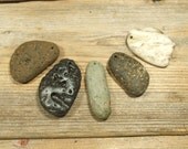 Beach Pebble Pendant Pieces, 5 beautiful top drilled beach stones.