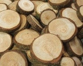 Wood Supplies 50 Wooden Larch Slices. 1 to 1 3/4 inch. Supplies for all your Crafts and Projects.