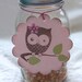 Set of 6 Extra Large Pink Owl Tags - Baby Shower - Bridal Shower - Birthday Party - Mason Jar Tags