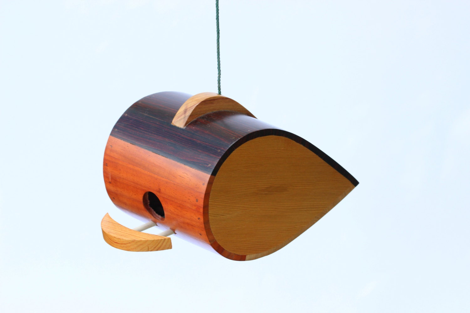 C55 with Padauk