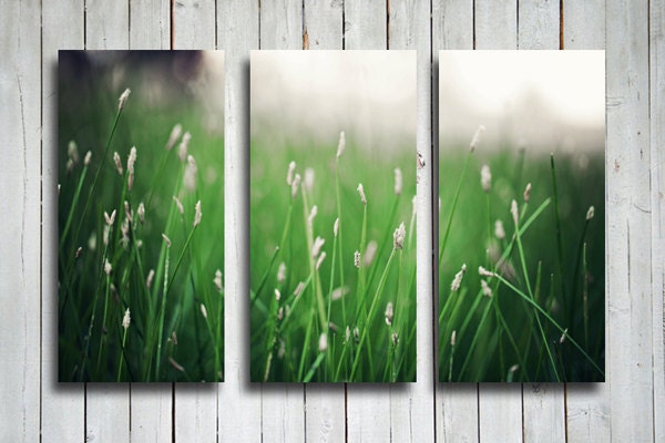 The Grass is Greener collage - Green decor - Green collage - Nature decor - Green photography - Nature photography - Green home decor
