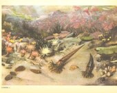 Silurian Sea Print Vintage Prehistoric Ocean Life, Paleozoic, Extinct Flora Fauna