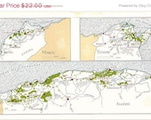 Vintage Wine Map of North Africa, Algeria, Morocco and Tunisia1969