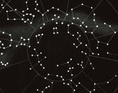 Southern Sky Constellations Astronomy Print Vintage Celestial Map 1960s Polus Antarcticus