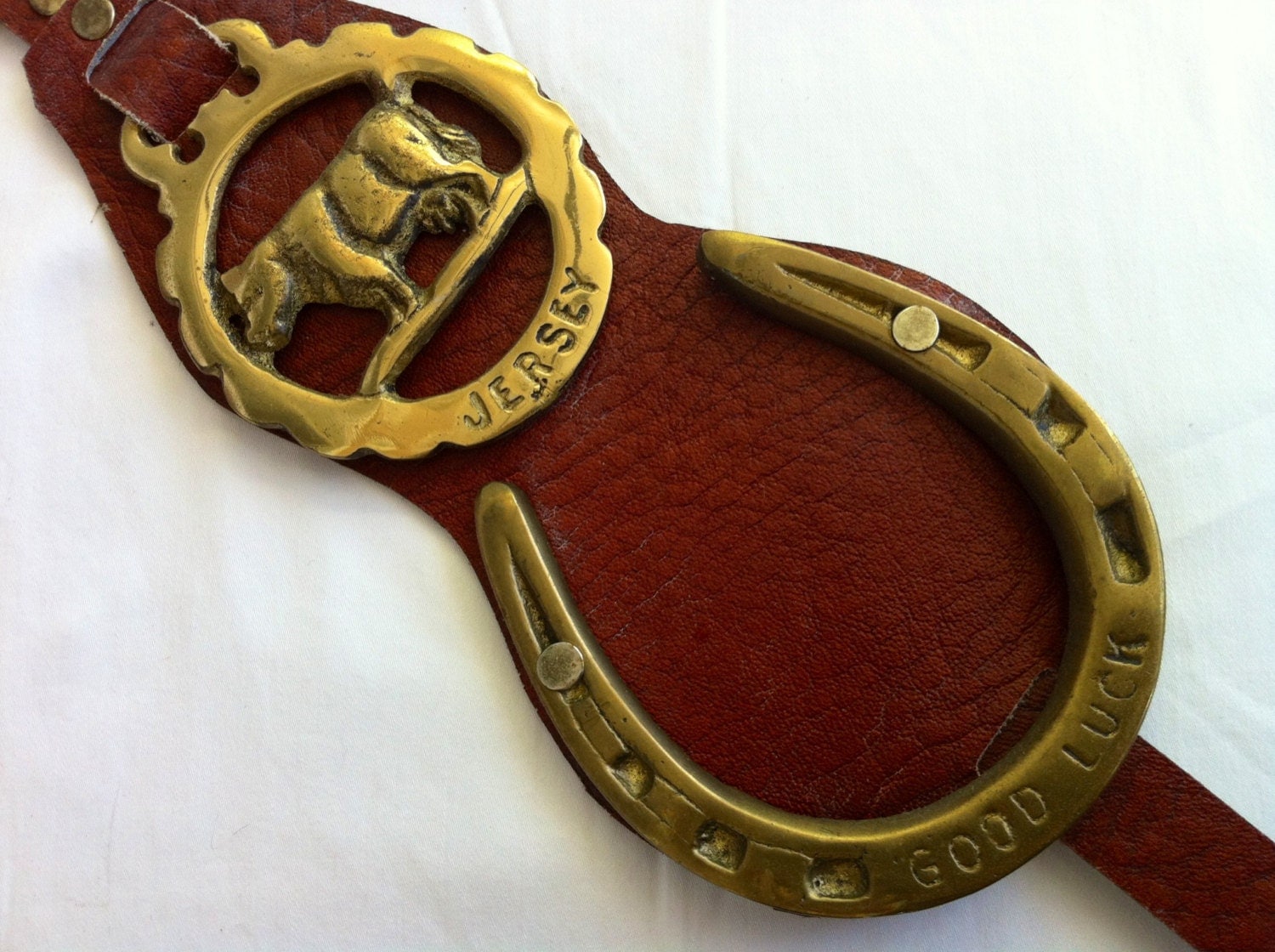 Leather Horse Brass - Good Luck Horseshoe - Equestrian - Jersey Cow
