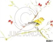 Watercolor Bird and Branches Greeting Card - Painting by June Jurcak