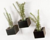 Wall Storage Organizer Box Shelf - Set of 3 Boxes - Black - 2001 Ways
