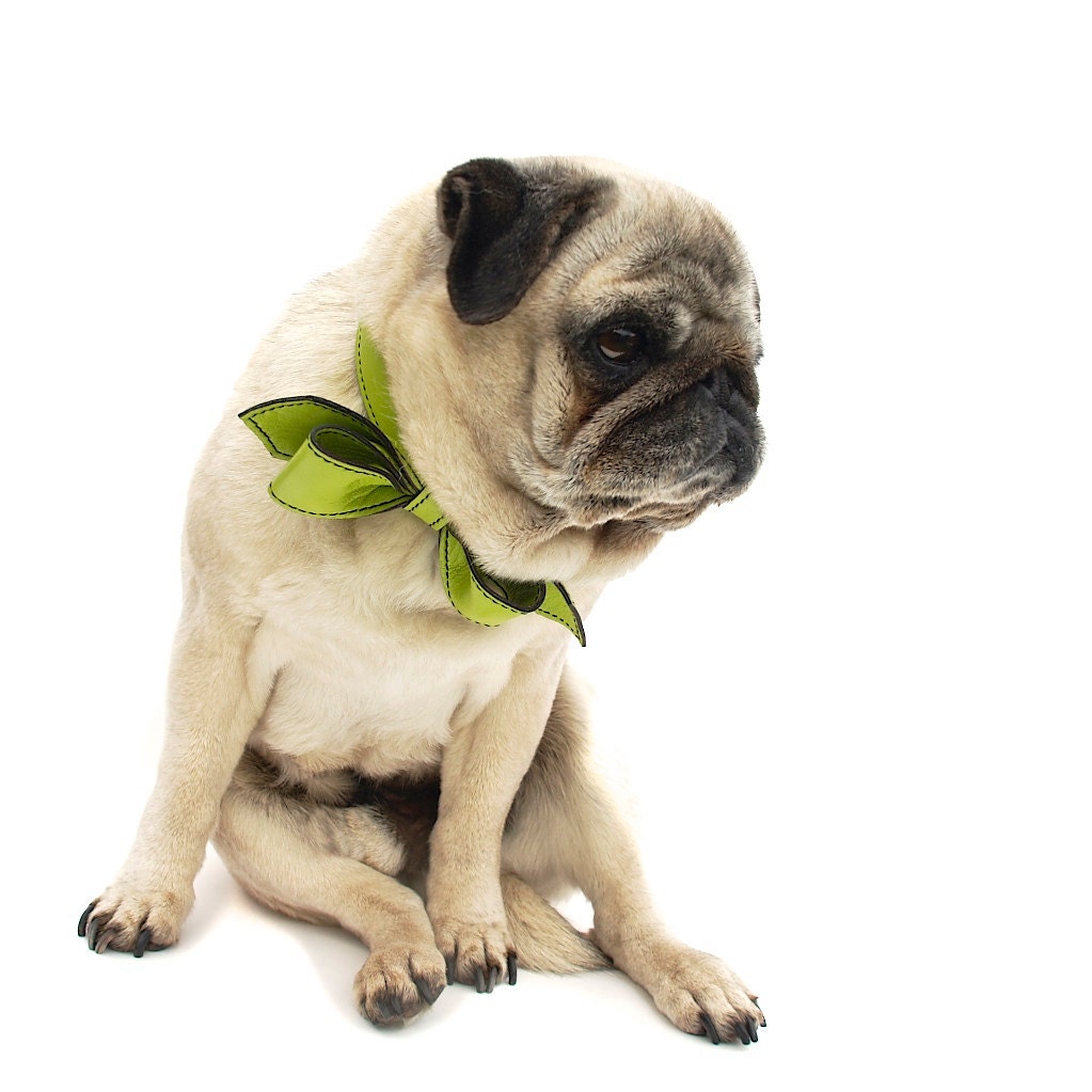 Limelight Martini Bowtie Dog Collar