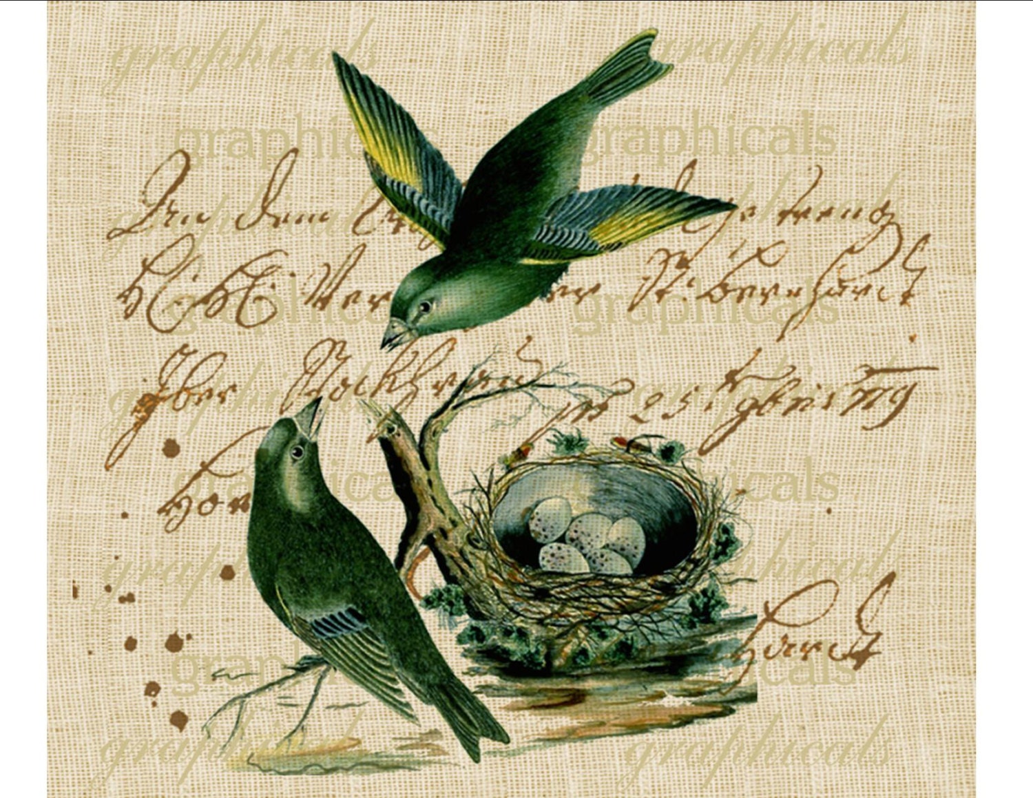 Pair teal birds Nest French writing ephemera Digital download image for iron on fabric transfer burlap decoupage pillows tags No. 1844