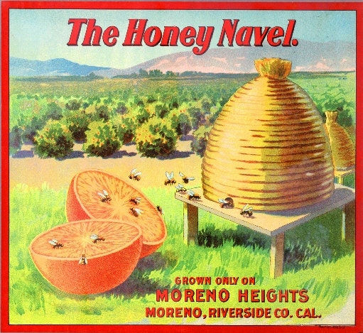 Moreno, Riverside County The Honey Navel Bee Bees Orange Citrus Fruit Crate Box Label Art Print