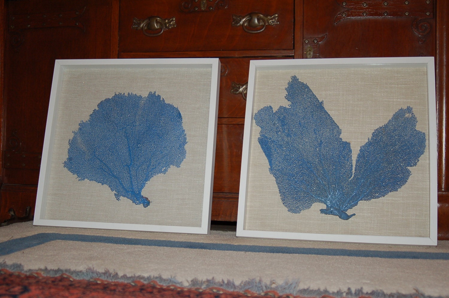 Framed Sea Fan - Coral Blue on Beige Fabric in white Shadow Box