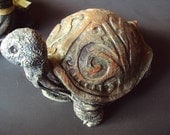 Celtic Turtle, Wonderful in home or out. Will not run away.
