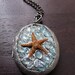 Genuine Starfish Under the Sea Nautical  Locket Necklace