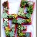 Succulent Monogrammed Planter Box As Seen In Southern Living Christmas at Home