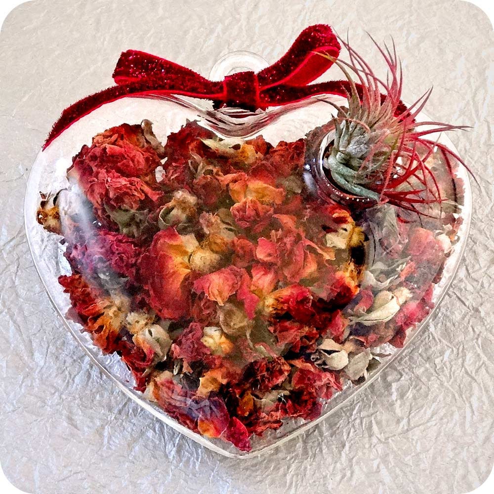 ROSE PETAL HEART terrarium - feng shui, air plant, plant gift, home decor, aromatherapy, mothers day gifts, mothers day