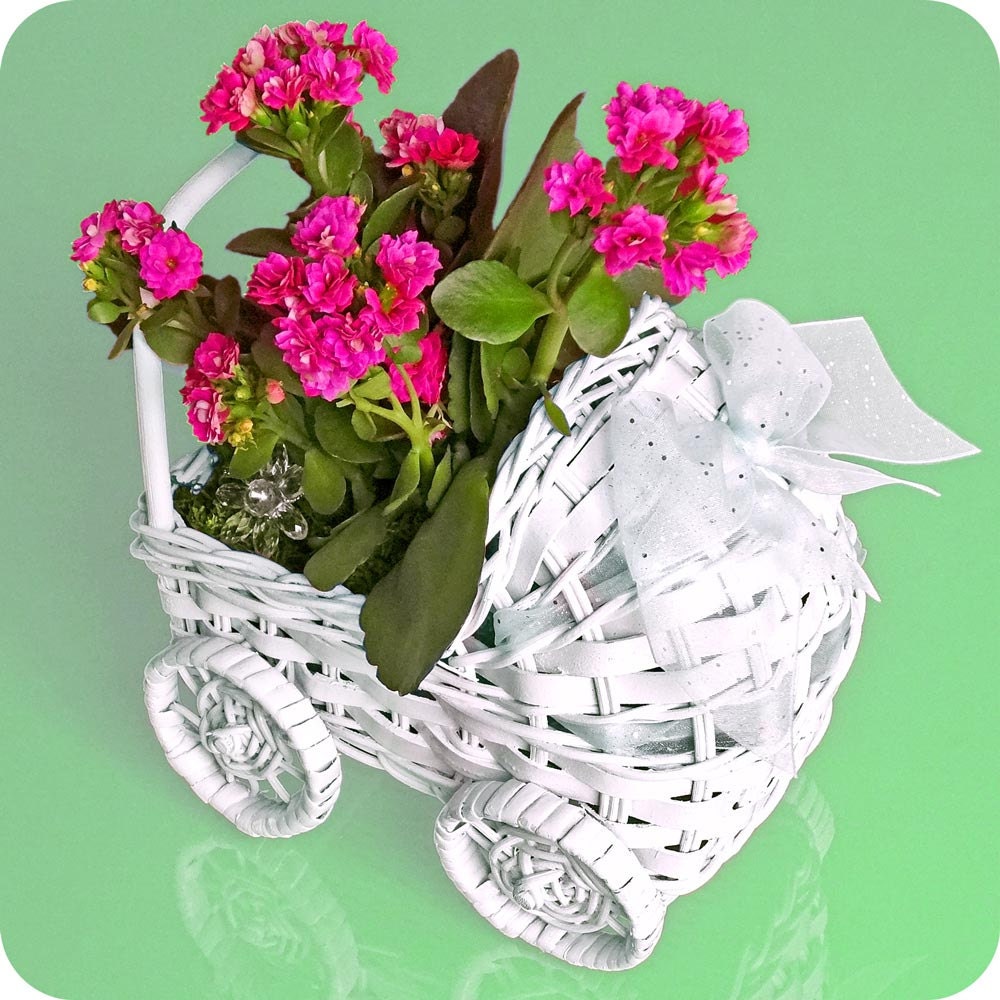 MINI CARRIAGE PLANTER - mothers day gifts, baby carriage, plant gift, housewarming gift, holiday gift